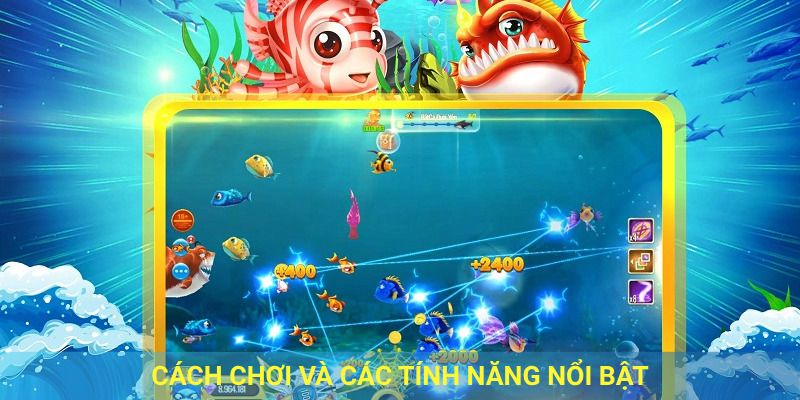 Cách chơi và các tính năng nổi bật.