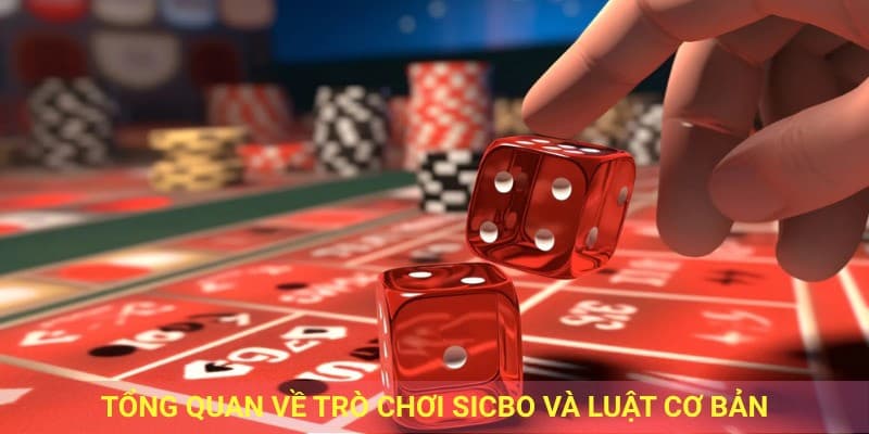 Tổng quan về trò chơi sicbo.